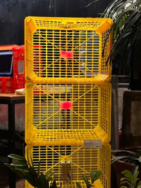 Light modules pulsing red after a call arrives
