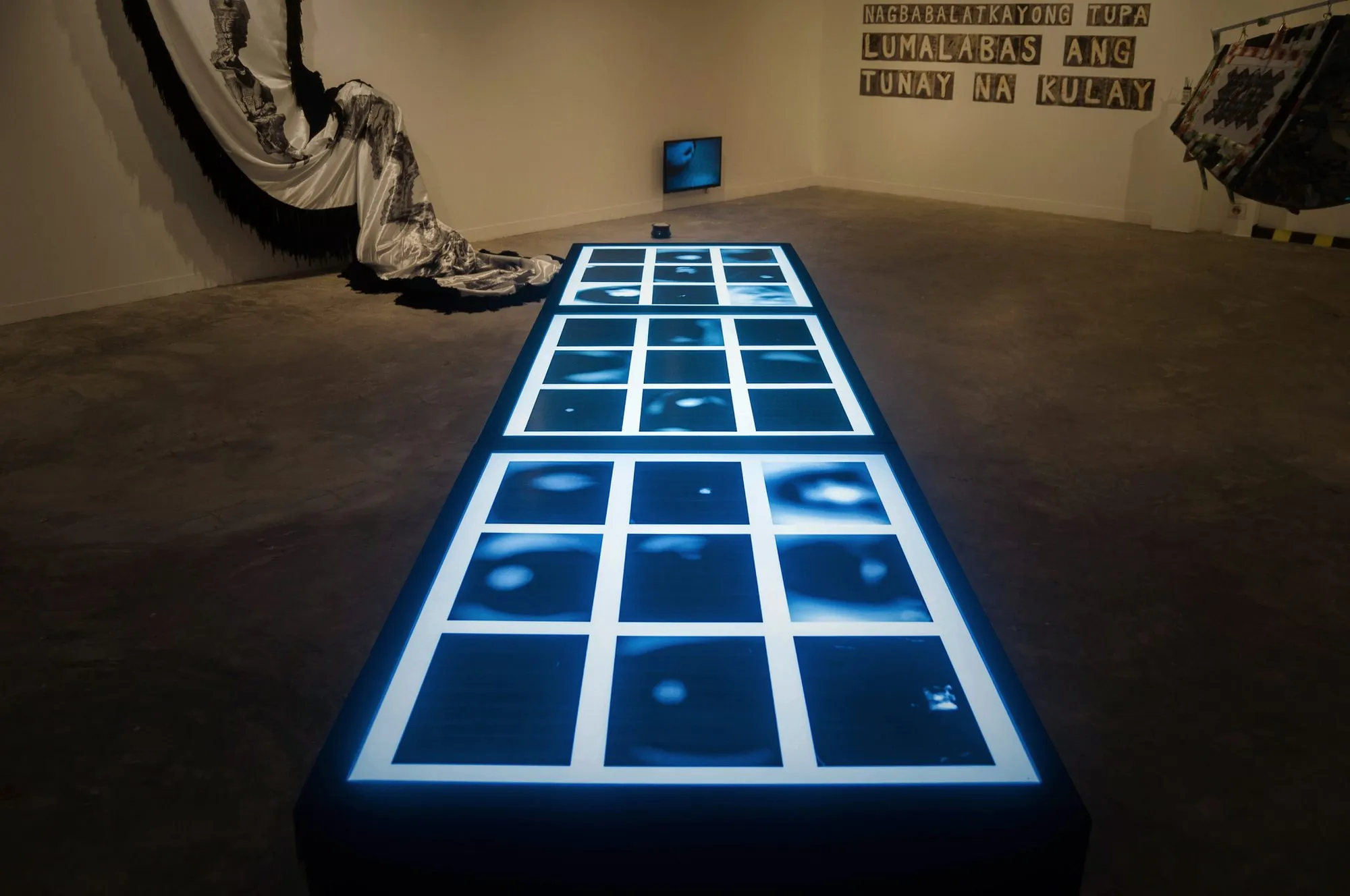 Close-up of the glowing tables of blue iris photographs