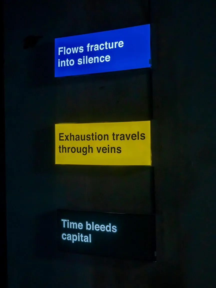 The three lightboxes seen up close in the dark