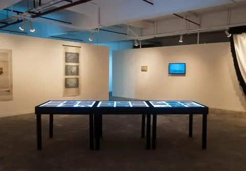 Three illuminated tables of iris photographs in a gallery