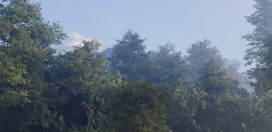 A rendered forest canopy breaking into particles